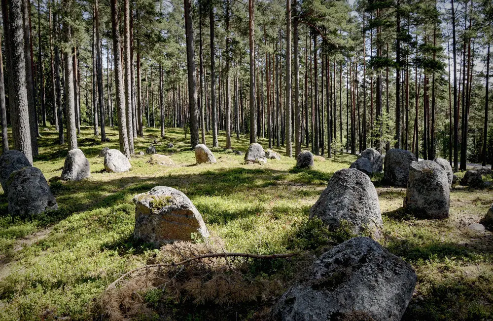 Stenarna på Gravfältet Bruadungen.