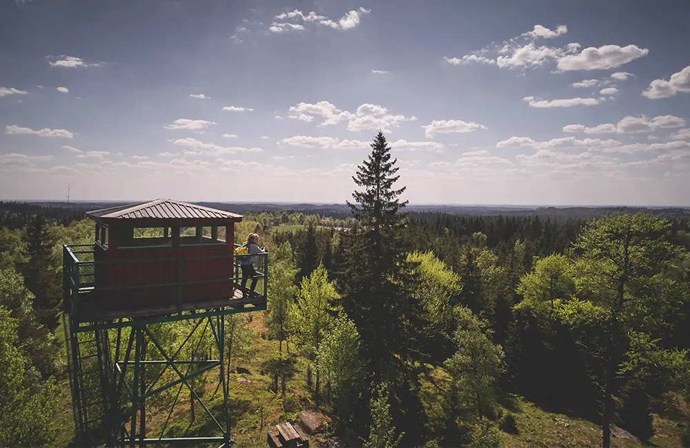 Torn vid tomtabacken med utsikt över skogen.