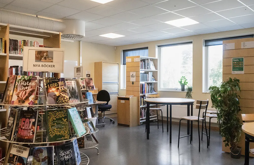 Bild från biblioteket på Brinells högstadium.