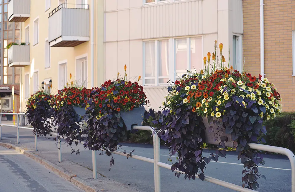 blomsterlådor längs vägräcket