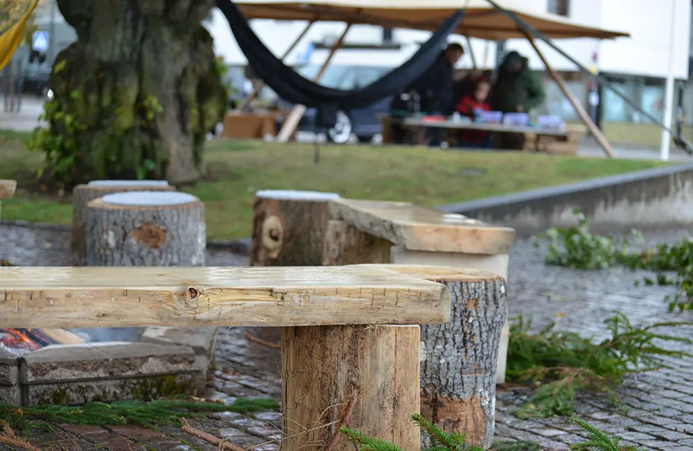 Träbänkar framför en lägereld och stubbar som pallar. I bakgrunden syns en gräsmatta, en svart hängmatta och ett stort tält med några människor under.