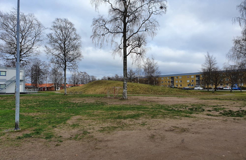 Bild som visar del av det aktuella planområdet