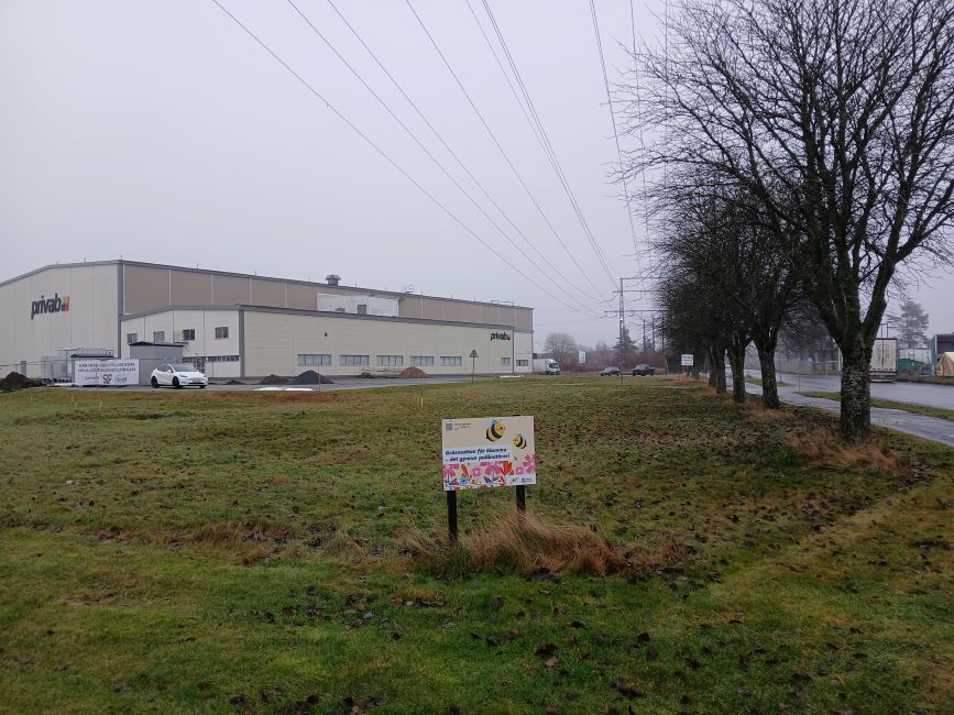 Bild som visar mark och byggnader inom det aktuella planområdet