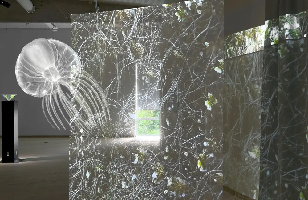 En installationsvy från konstnärens soloutställning på Kungsbacka Konsthall 2024.