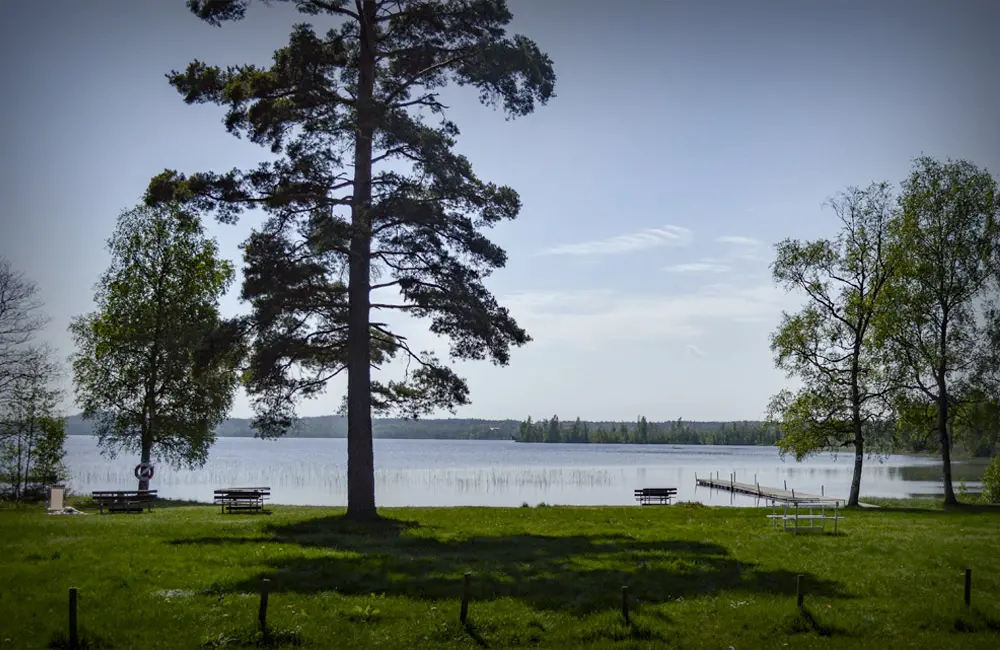 Badplats med grönyta och stora träd.