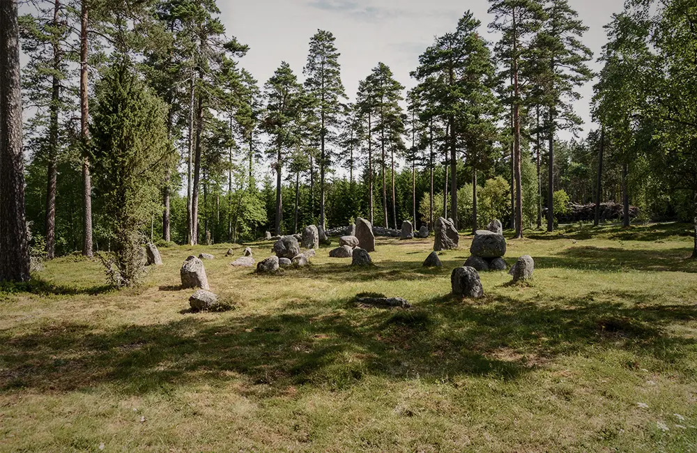 Stenområdet i Torsa stenar.