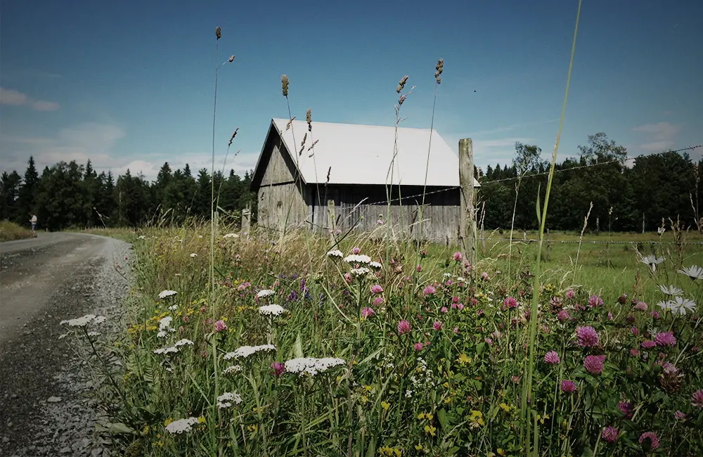 Ängslandskap i Rommen.