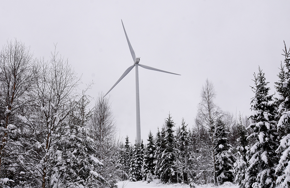 Bild på ett vindkraftverk i skogen