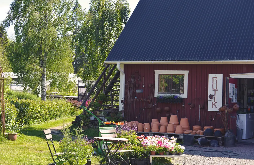 Rödstuga med skylten "Butik" på fasaden. Utanför är en stor blomsterfylld trädgård.