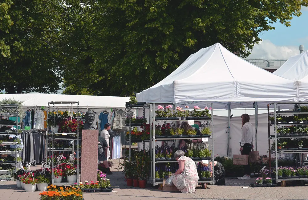 Flera marknadsstånd som säljer blommor. Några personer som tittar och plockar bland blommorna.