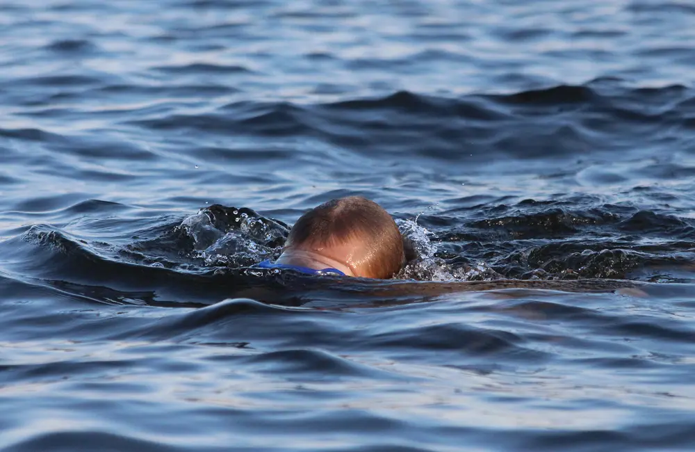 Huvud som sticker upp från badande person i vattnet.
