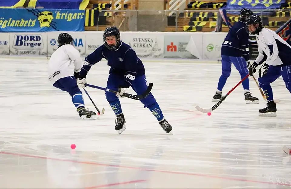 Bandy Bandy