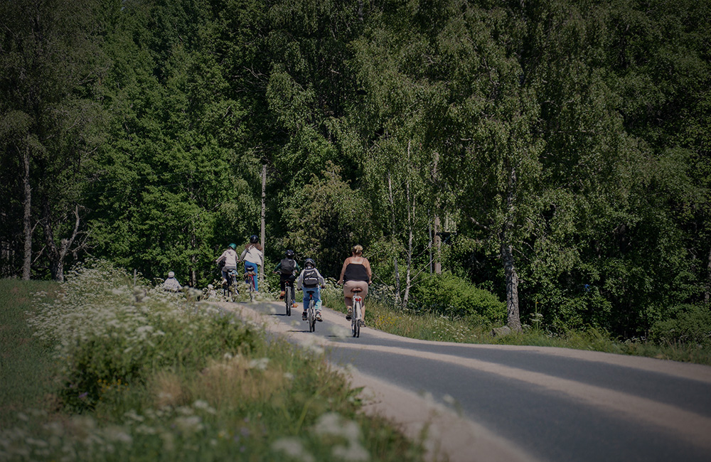 Ett gäng cyklister som cyklar på asfalt mot ett naturområde.