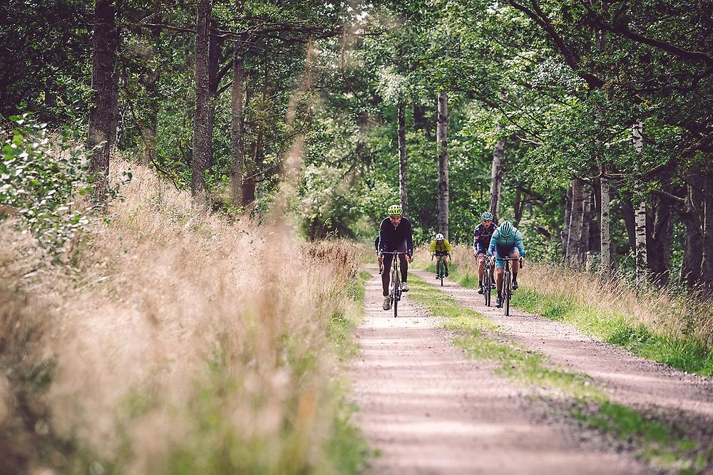 Cyklister som cyklar på mindre grusväg en sommardag. Bakgrund fylld av grönska.