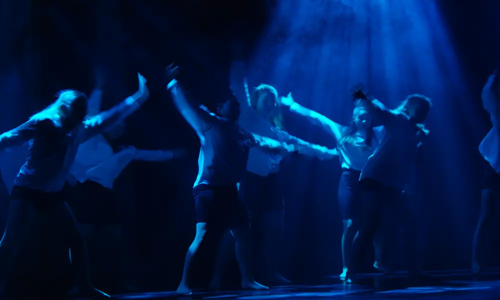En ganska mörk bild där man kan urskilja en grupp dansare i full färd med att dansa