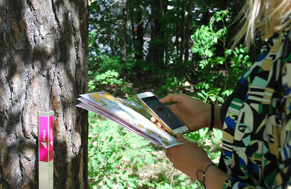 En person står ute i skogen och håller i handen en karta och en mobiltelefon.