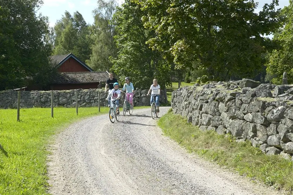 Tre personer som cyklar på landsväg med en stenmur  på ena sidan och en hage på den andra.