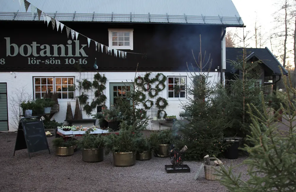 Ett hus med juldekorationer i utomhusmiljö.
