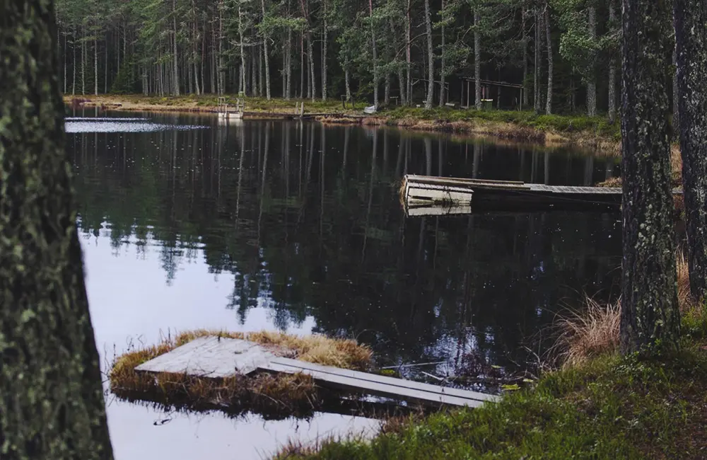 Bryggor i Avegöl, omringade av skog