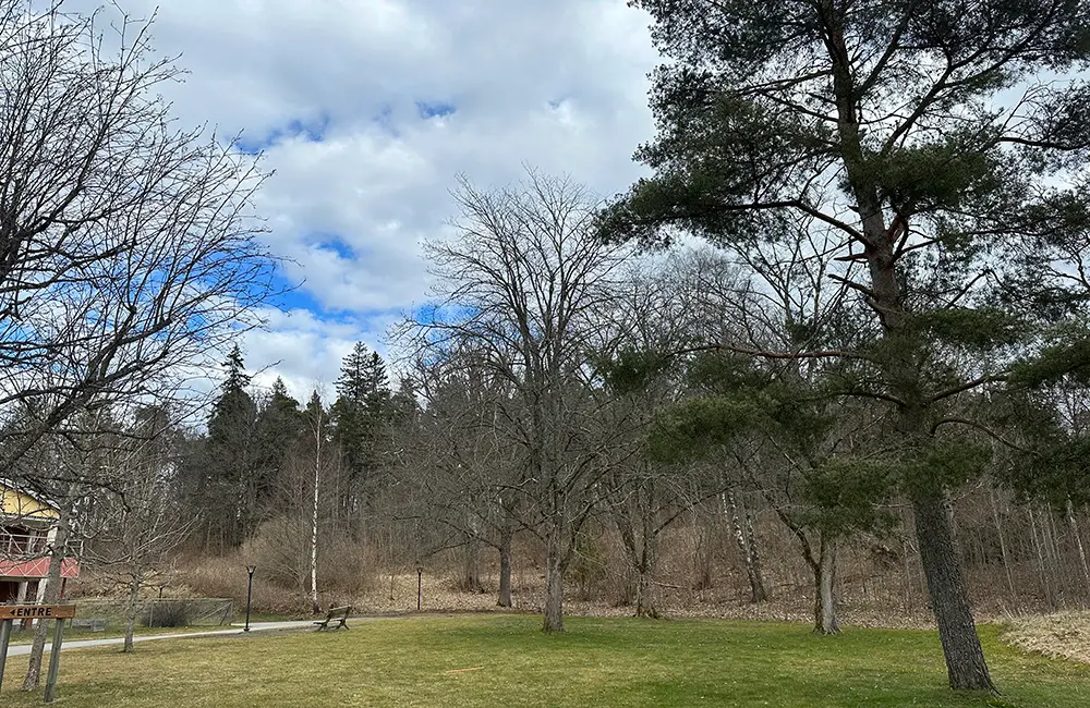 Bilden visar gräsyta, träd, himmel, lyktstolpar, en parkbänk samt delar av en byggnad. Bilden visar hur platsen, där den nya detaljplanen är tänkt att uppföras, ser ut idag.