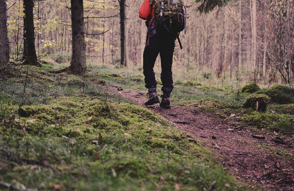 Person som går på en stig i skogen