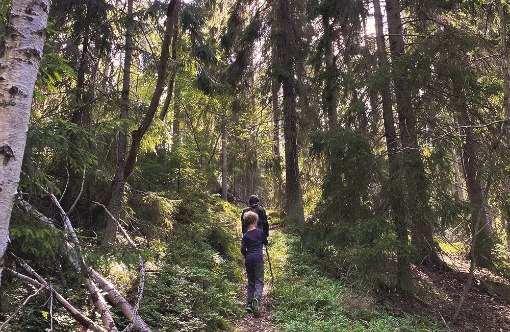 Två pojkar vandrar på en stig i en trollsk granskog.