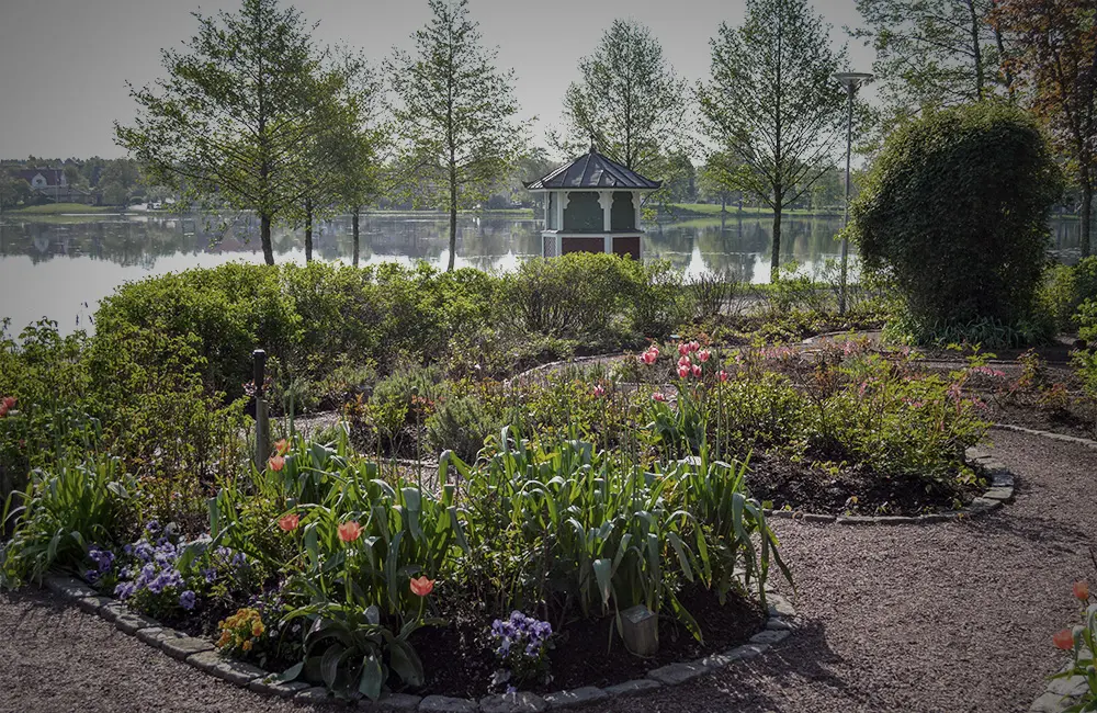 Blomplanteringar i park.