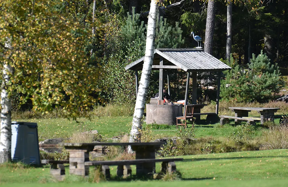 Grillplats, bänk och soptunna på ett grönområde.