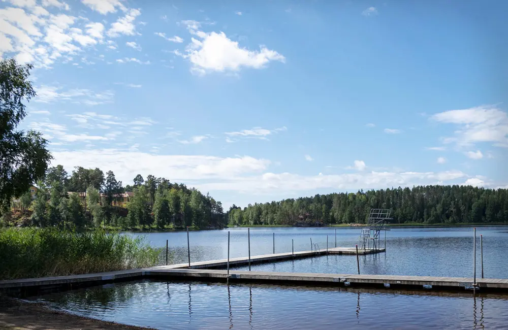 bilden visar en lång brygga som leder ända ut till mitten delen av sjön. skog runtomkring sjön. små stolpar som sticker upp på bryggan.