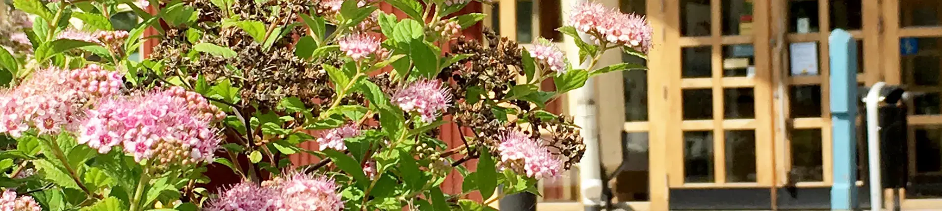 Entre Nässjöakademin