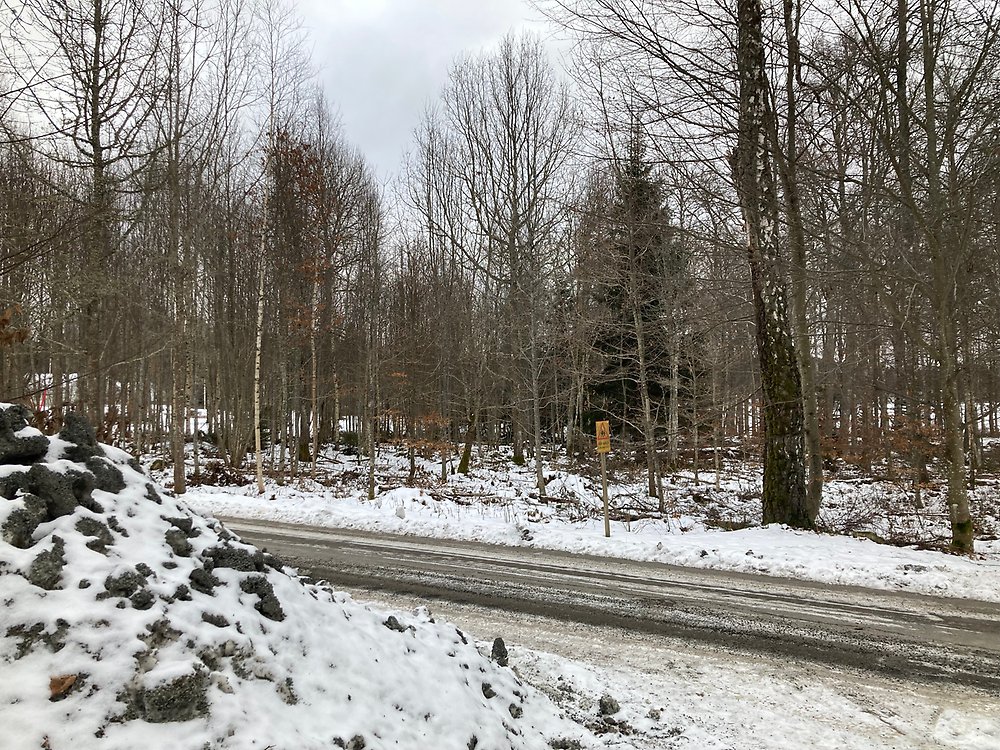 Bild som visar del av planområdet