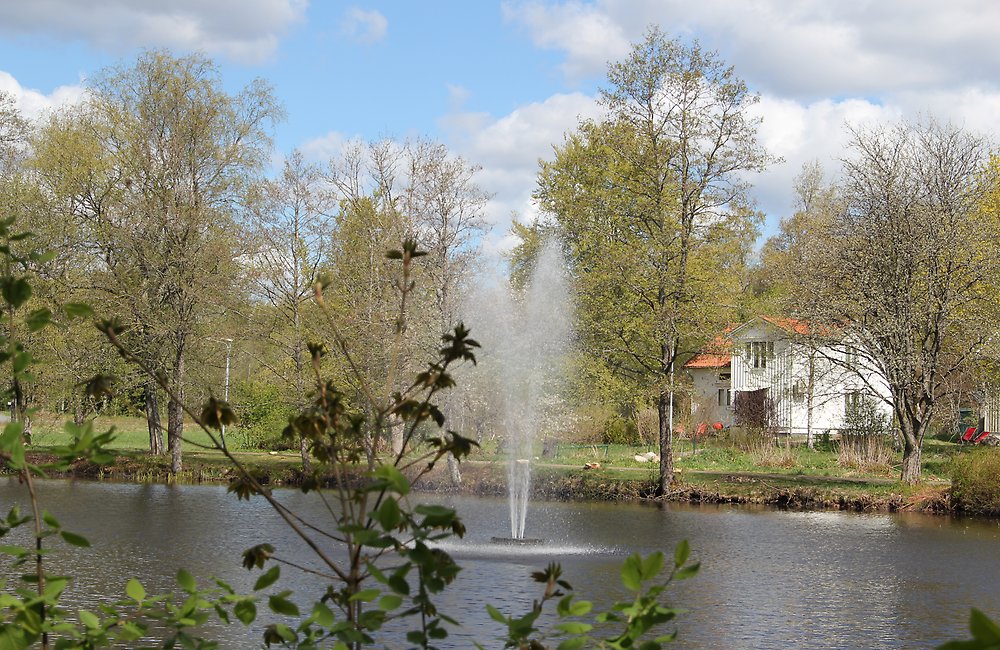 Exempelbild