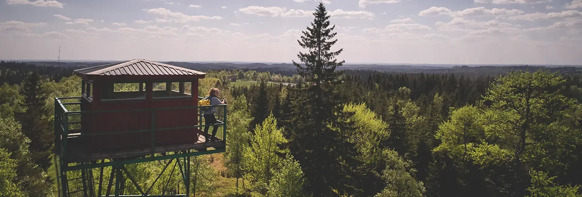 Vy över tomtabacken